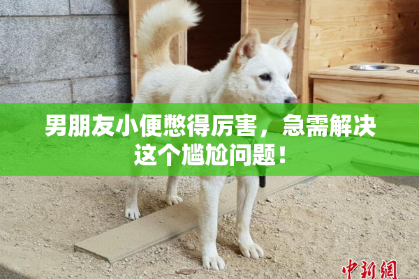 男朋友小便憋得厉害，急需解决这个尴尬问题！