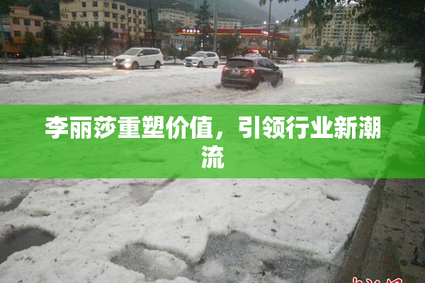 李丽莎重塑价值，引领行业新潮流