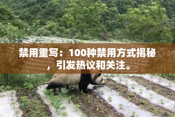 禁用重写：100种禁用方式揭秘，引发热议和关注。