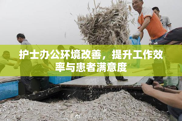 护士办公环境改善，提升工作效率与患者满意度