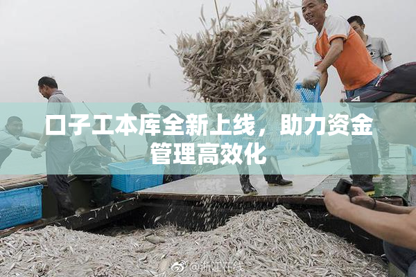 口子工本库全新上线，助力资金管理高效化