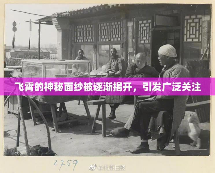 飞霄的神秘面纱被逐渐揭开，引发广泛关注