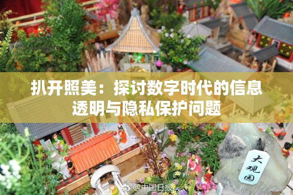 扒开照美：探讨数字时代的信息透明与隐私保护问题