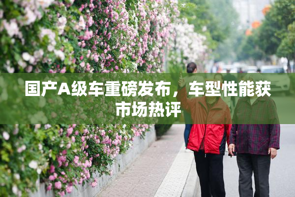 国产A级车重磅发布，车型性能获市场热评