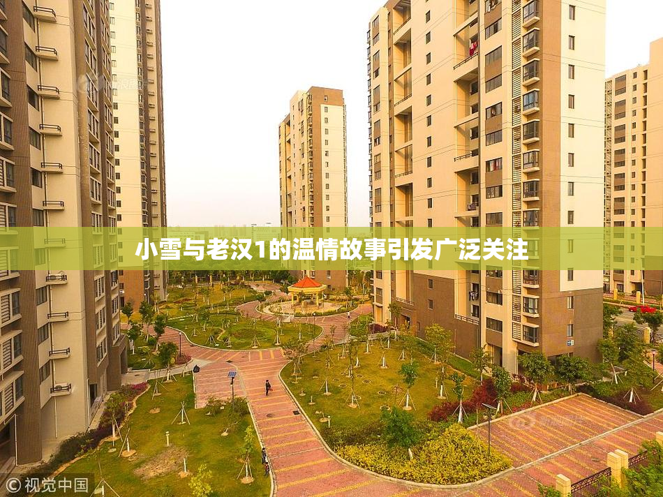 小雪与老汉1的温情故事引发广泛关注