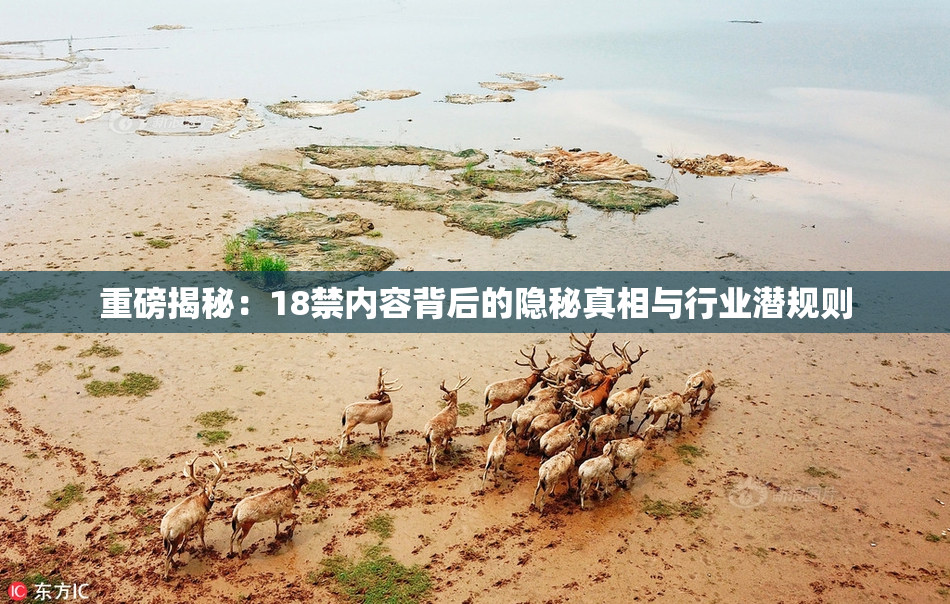 重磅揭秘：18禁内容背后的隐秘真相与行业潜规则