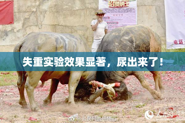 失重实验效果显著，尿出来了！