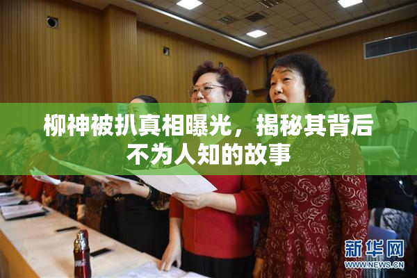 柳神被扒真相曝光，揭秘其背后不为人知的故事