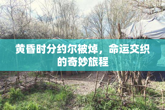 黄昏时分约尔被焯，命运交织的奇妙旅程