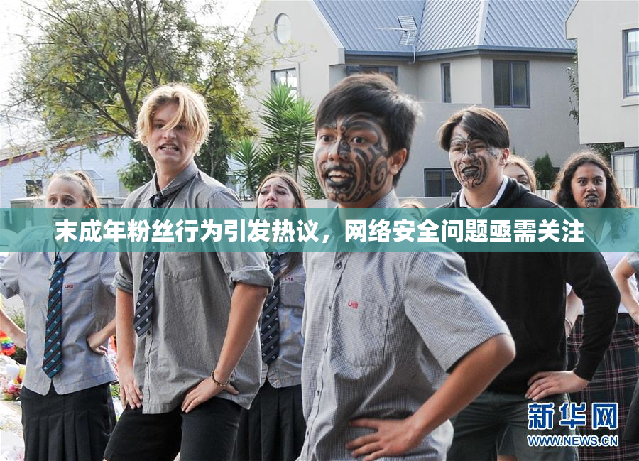 末成年粉丝行为引发热议，网络安全问题亟需关注