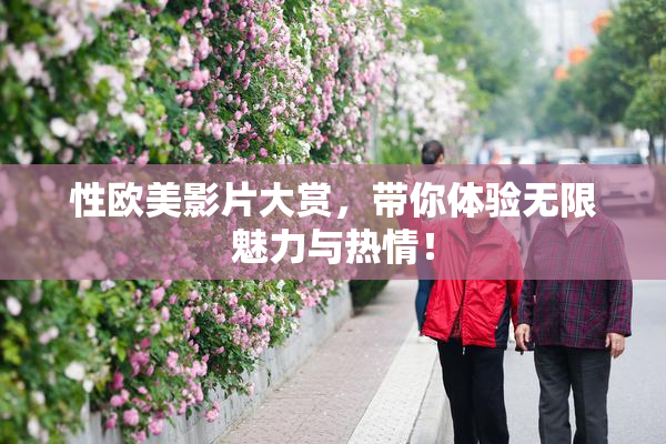 性欧美影片大赏，带你体验无限魅力与热情！