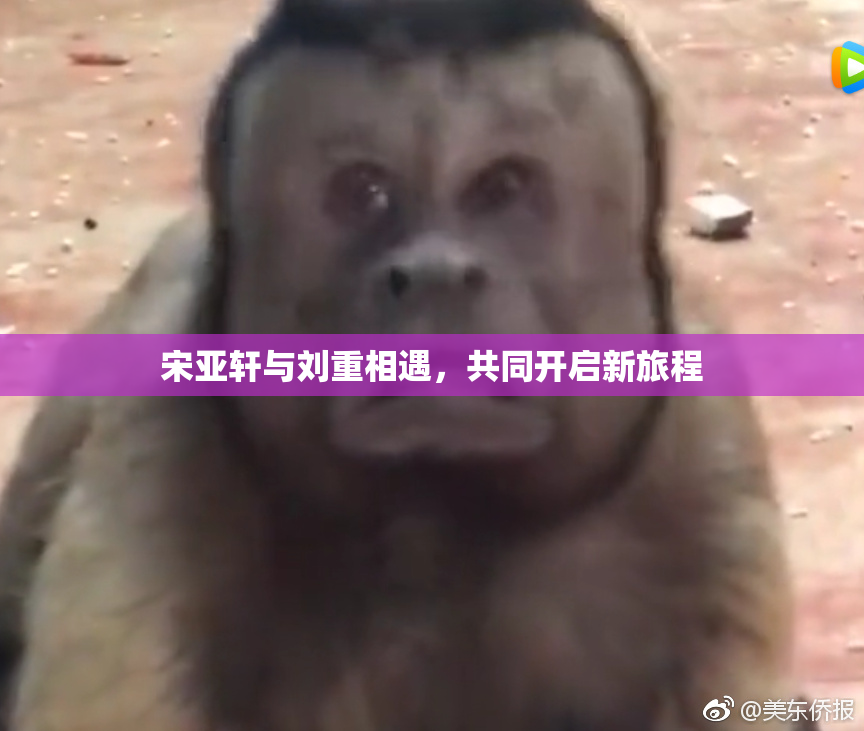 宋亚轩与刘重相遇，共同开启新旅程