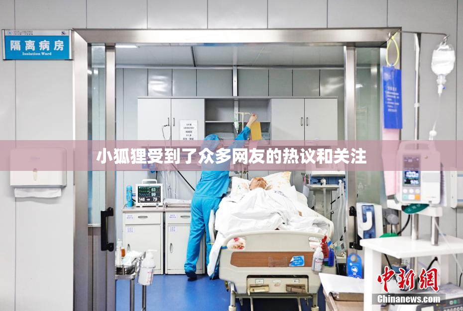 小狐狸受到了众多网友的热议和关注