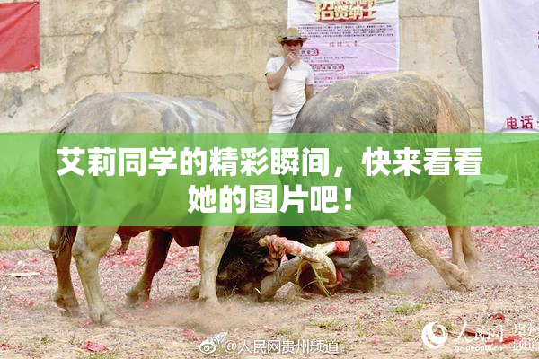 艾莉同学的精彩瞬间，快来看看她的图片吧！