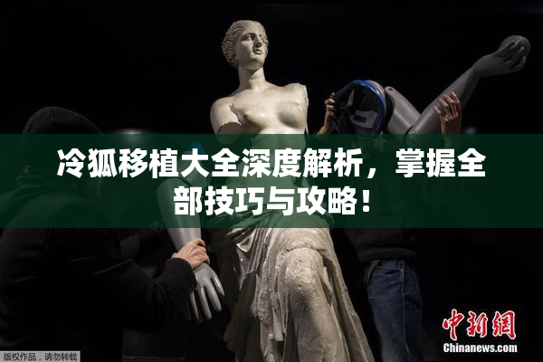 冷狐移植大全深度解析，掌握全部技巧与攻略！