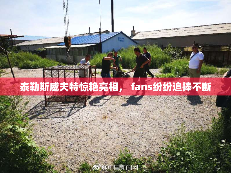 泰勒斯威夫特惊艳亮相， fans纷纷追捧不断