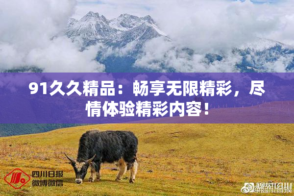 91久久精品：畅享无限精彩，尽情体验精彩内容！