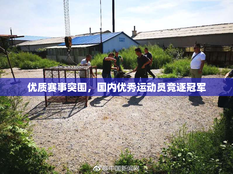 优质赛事突围，国内优秀运动员竞逐冠军