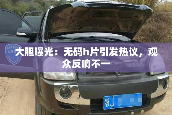 大胆曝光：无码h片引发热议，观众反响不一
