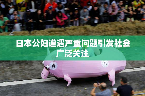 日本公妇遭遇严重问题引发社会广泛关注