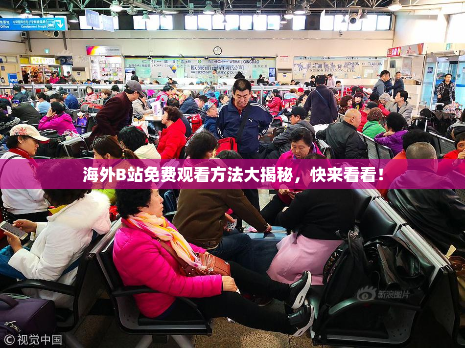 海外B站免费观看方法大揭秘，快来看看！