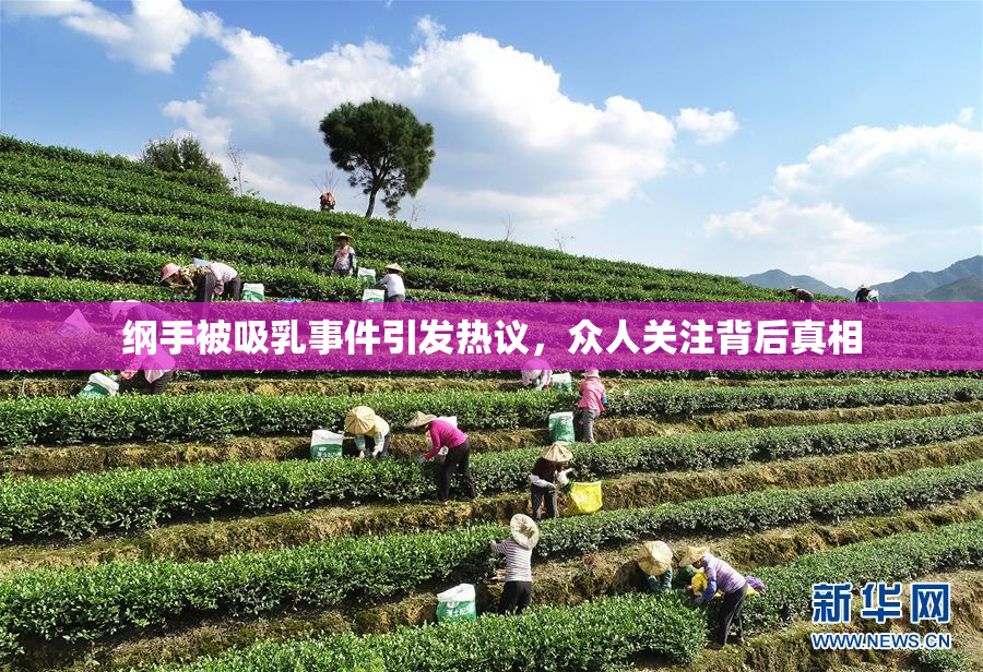 纲手被吸乳事件引发热议，众人关注背后真相