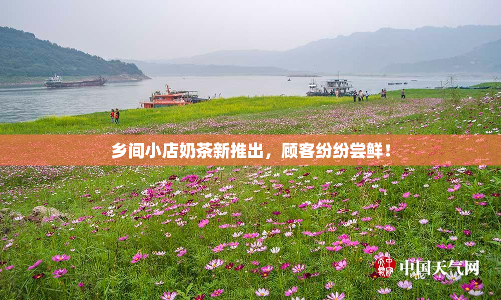 乡间小店奶茶新推出，顾客纷纷尝鲜！