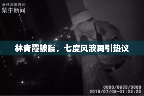 林青霞被躁，七度风波再引热议