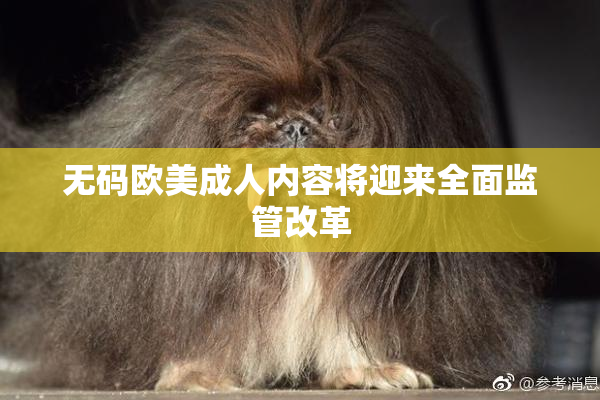 无码欧美成人内容将迎来全面监管改革