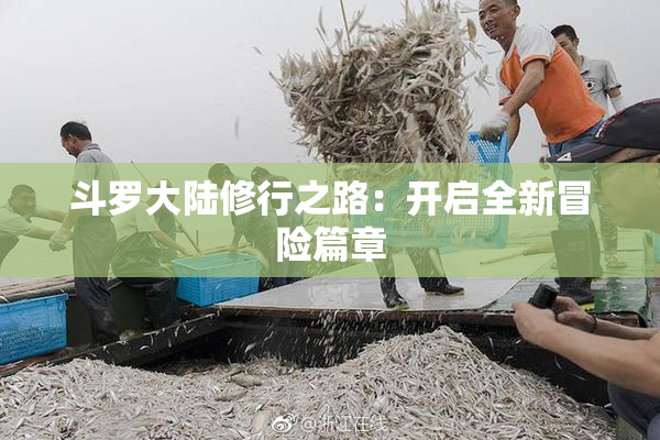 斗罗大陆修行之路：开启全新冒险篇章