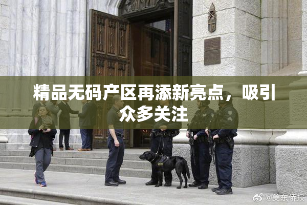 精品无码产区再添新亮点，吸引众多关注