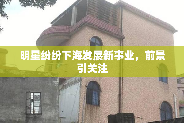 明星纷纷下海发展新事业，前景引关注