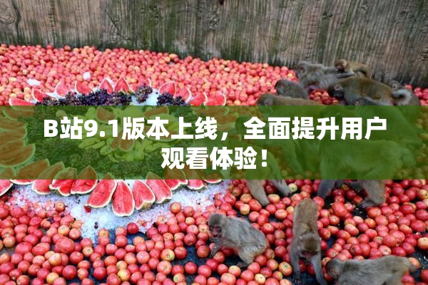 B站9.1版本上线，全面提升用户观看体验！