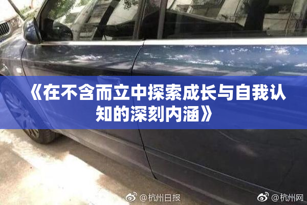 《在不含而立中探索成长与自我认知的深刻内涵》