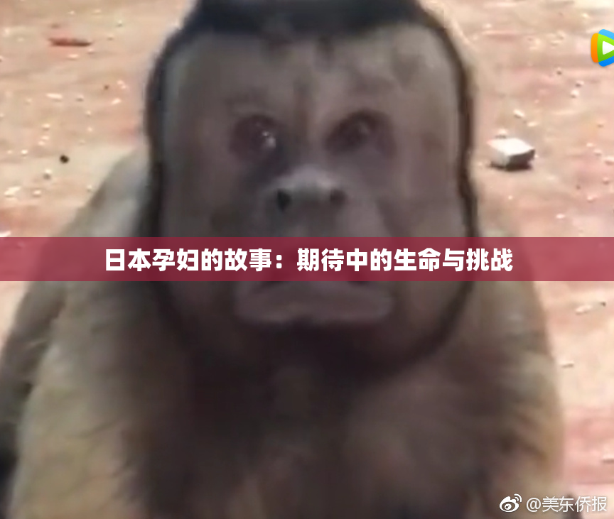 日本孕妇的故事：期待中的生命与挑战