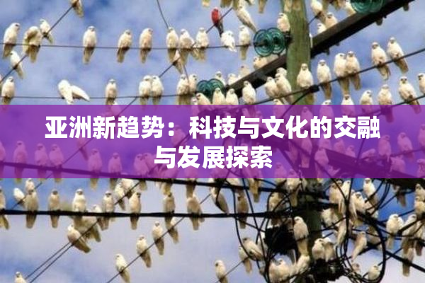 亚洲新趋势：科技与文化的交融与发展探索