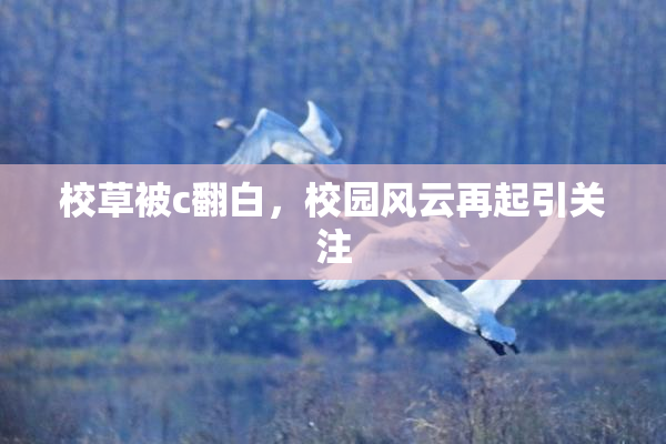 校草被c翻白，校园风云再起引关注