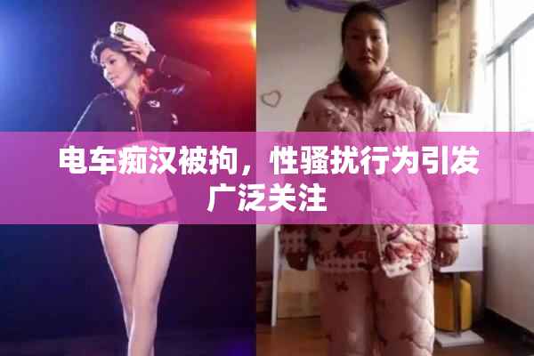 电车痴汉被拘，性骚扰行为引发广泛关注