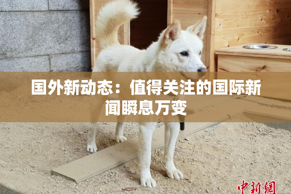 国外新动态：值得关注的国际新闻瞬息万变