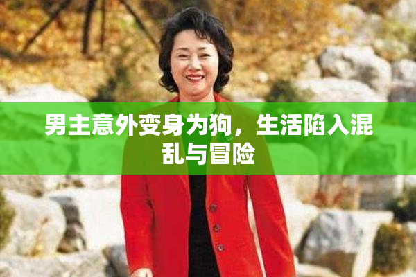 男主意外变身为狗，生活陷入混乱与冒险