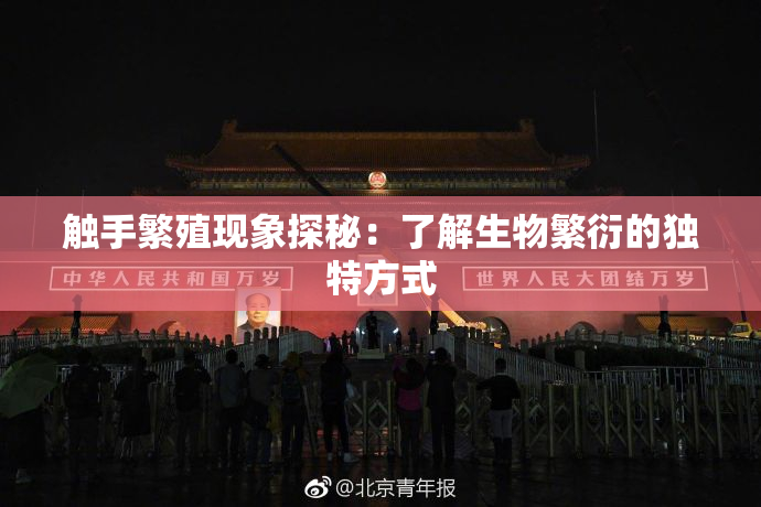 触手繁殖现象探秘：了解生物繁衍的独特方式