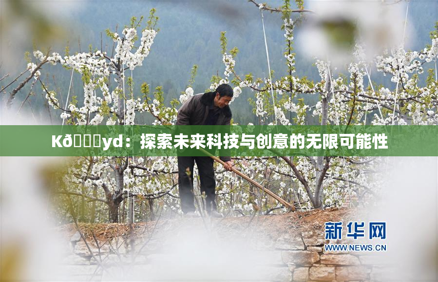 K🈚yd：探索未来科技与创意的无限可能性