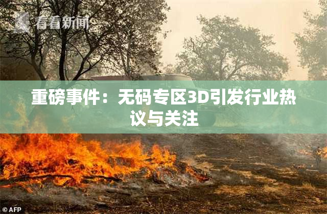 重磅事件：无码专区3D引发行业热议与关注