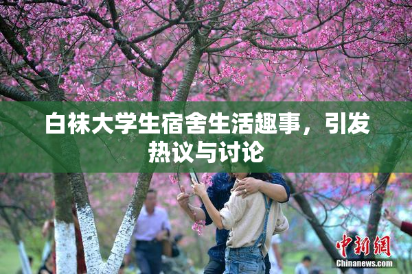 白袜大学生宿舍生活趣事，引发热议与讨论