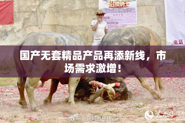 国产无套精品产品再添新线，市场需求激增！