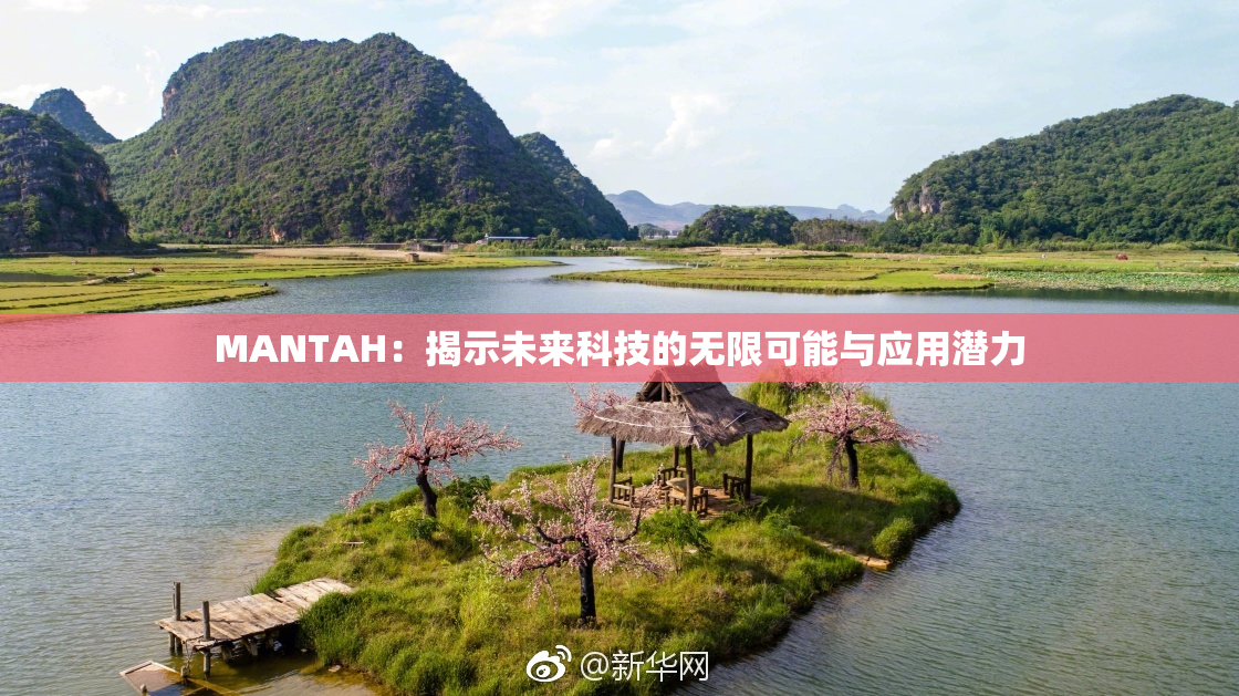 MANTAH：揭示未来科技的无限可能与应用潜力