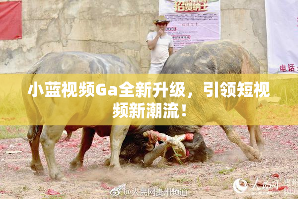 小蓝视频Ga全新升级，引领短视频新潮流！
