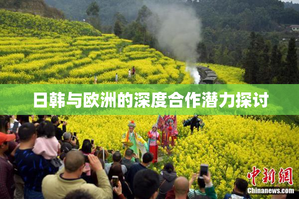 日韩与欧洲的深度合作潜力探讨