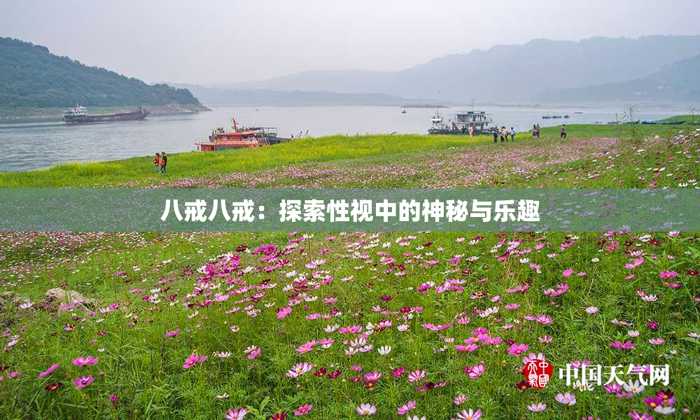 八戒八戒：探索性视中的神秘与乐趣