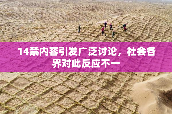 14禁内容引发广泛讨论，社会各界对此反应不一